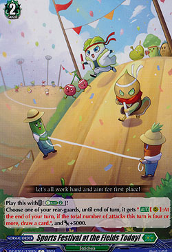 Sports Festival at the Fields Today!