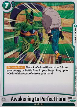 Awakening to Perfect Form