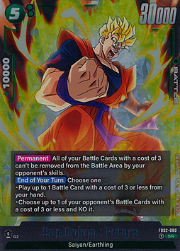 Son Gohan : Future