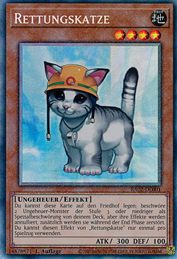 Rettungskatze