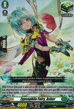 Zypsophilia Fairy, Asher