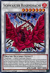 Schwarzer Rosendrache