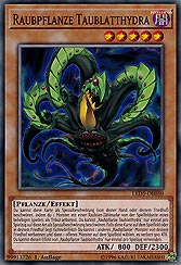Raubpflanze Taublatthydra