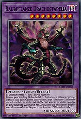 Raubpflanze Drachostapelia