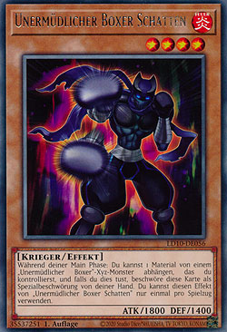 Unermüdlicher Boxer Schatten