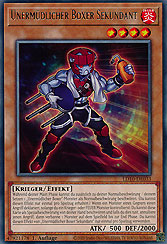Unermüdlicher Boxer Sekundant