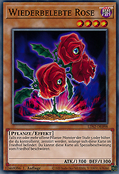 Wiederbelebte Rose