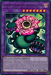 Raubpflanze Chimerafflesia