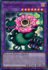 Raubpflanze Chimerafflesia