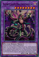 Raubpflanze Drachostapelia