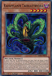 Raubpflanze Taublatthydra