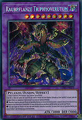 Raubpflanze Triphyoverutum