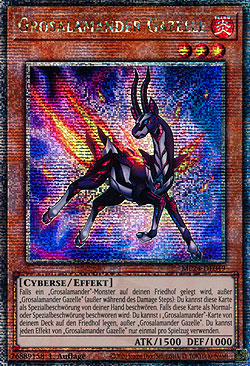 Grosalamander Gazelle