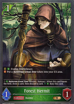 Forest Hermit