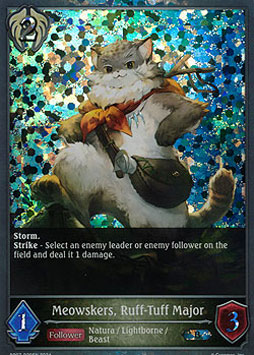 Meowskers, Ruff-Tuff Major