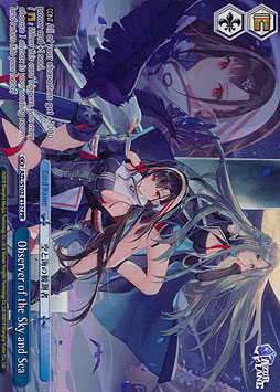 Observer of the Sky and Sea