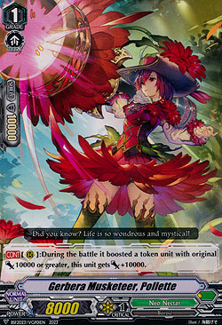 Gerbera Musketeer, Pollette