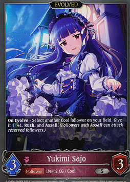 Yukimi Sajo (Evolved)