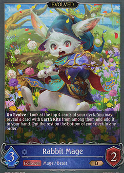 Rabbit Mage (Evolved)