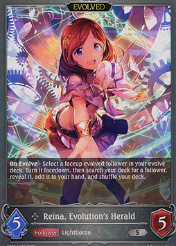 Reina, Evolution