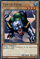 Turtle-Tiger