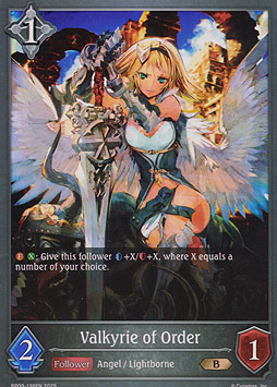Valkyrie of Order