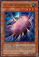 Cocoon of Evolution