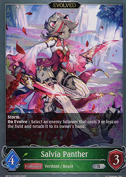 Salvia Panther (Evolved)