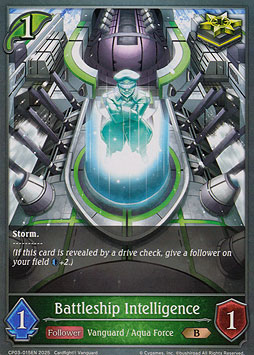 Battleship Intelligence