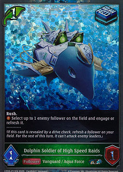 Dolphin Soldier of High Speed Raids