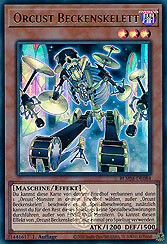 Orcust Beckenskelett