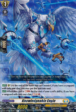 Knowledgeable Eagle