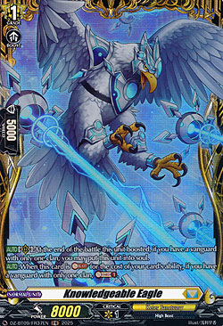 Knowledgeable Eagle