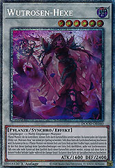 Wutrosen-Hexe