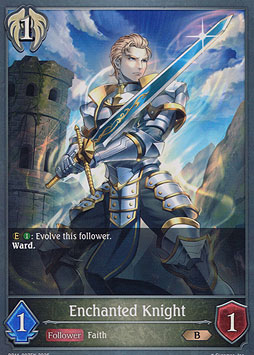 Enchanted Knight