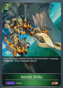 Hornet Strike