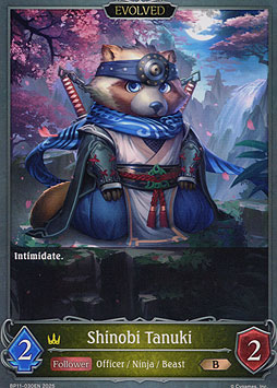 Shinobi Tanuki (Evolved)