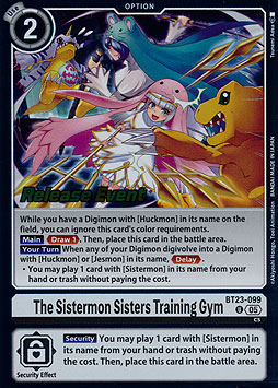 The Sistermon Sisters Training Gym