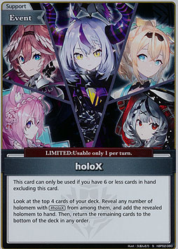 holoX