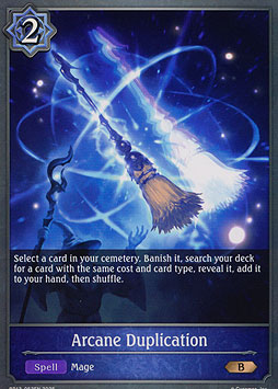 Arcane Duplication