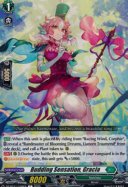 Budding Sensation, Gracia