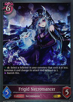 Frigid Necromancer