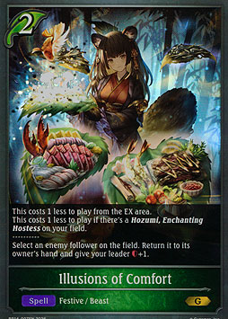 Illusions of Comfort