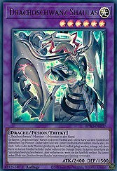 Drachoschwanz Shaulas