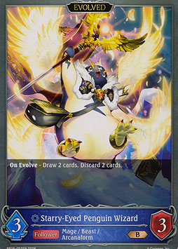 Starry-Eyed Penguin Wizard (Evolved)