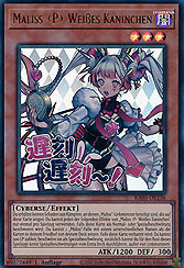 Maliss P Weißes Kaninchen