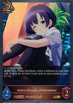 Hotaru Shiragiku [Unbreakable]