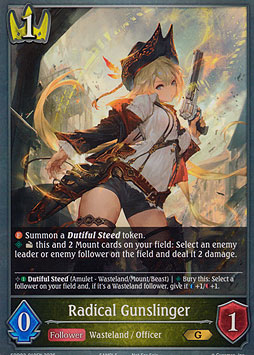 Radical Gunslinger