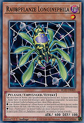 Raubpflanze Longinephila