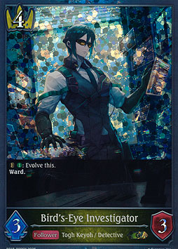 Bird